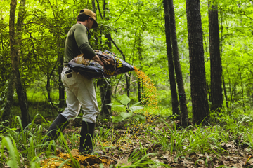 How to Prepare for Deer Hunting Season: A Month-by-Month Checklist