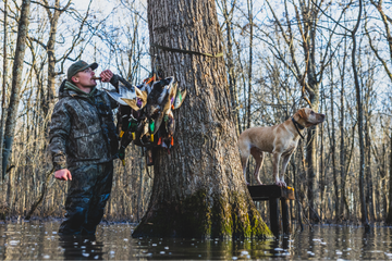 man blowing whistle with hunting dog