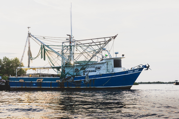 Trolling vs. Pole and Line Fishing: What Is the Difference?