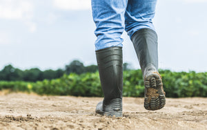 Revolutionary Footwear