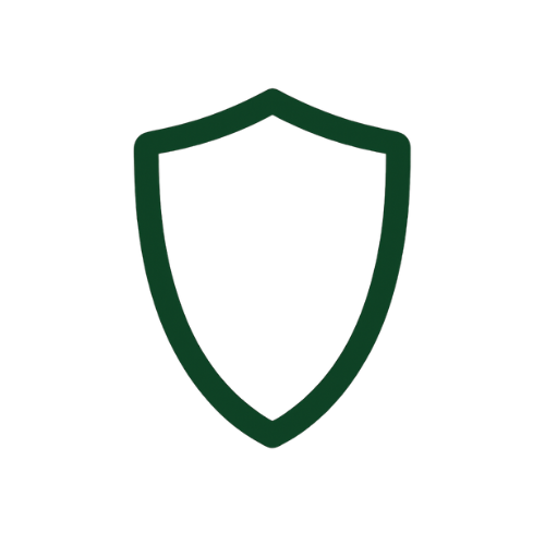 Alt Image