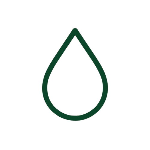 Alt Image